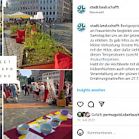 Beiträge auf Instagram zum Thema Hülsenfrüchte